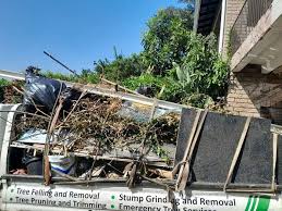 Best Same-Day Junk Removal Services  in Altoona, IA